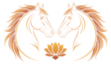 Fundacja Twoja Świadomość Życia Logo