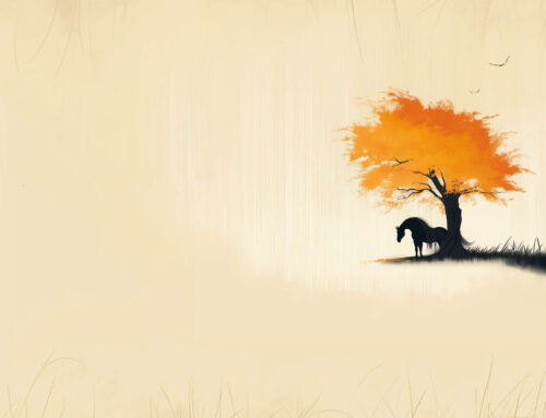 Warsztaty Gotowania Wegetariańskiego