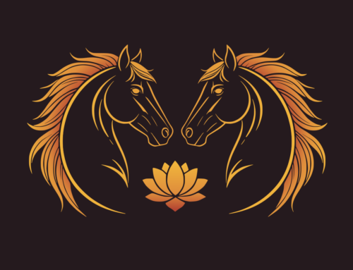 Warsztaty jeździeckie: Nowa Edycja